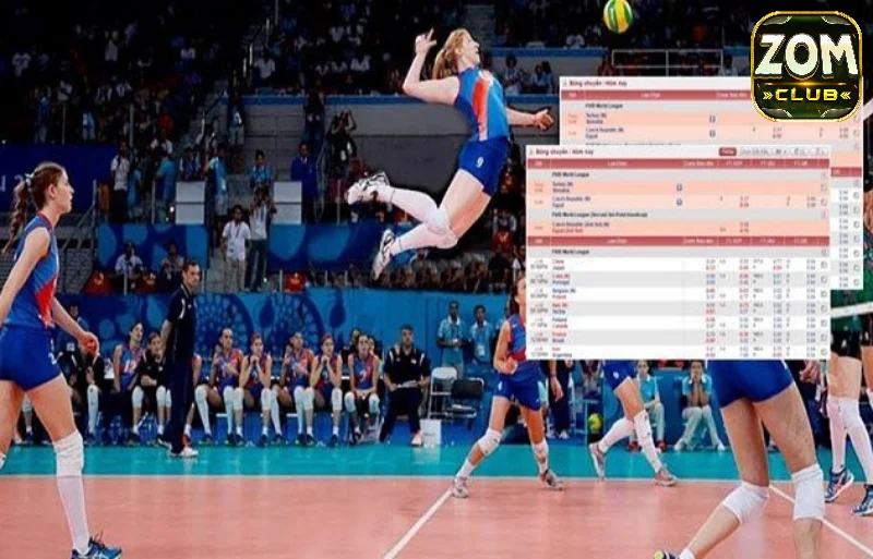 Tìm hiểu về kèo cược bóng chuyền Zomclub